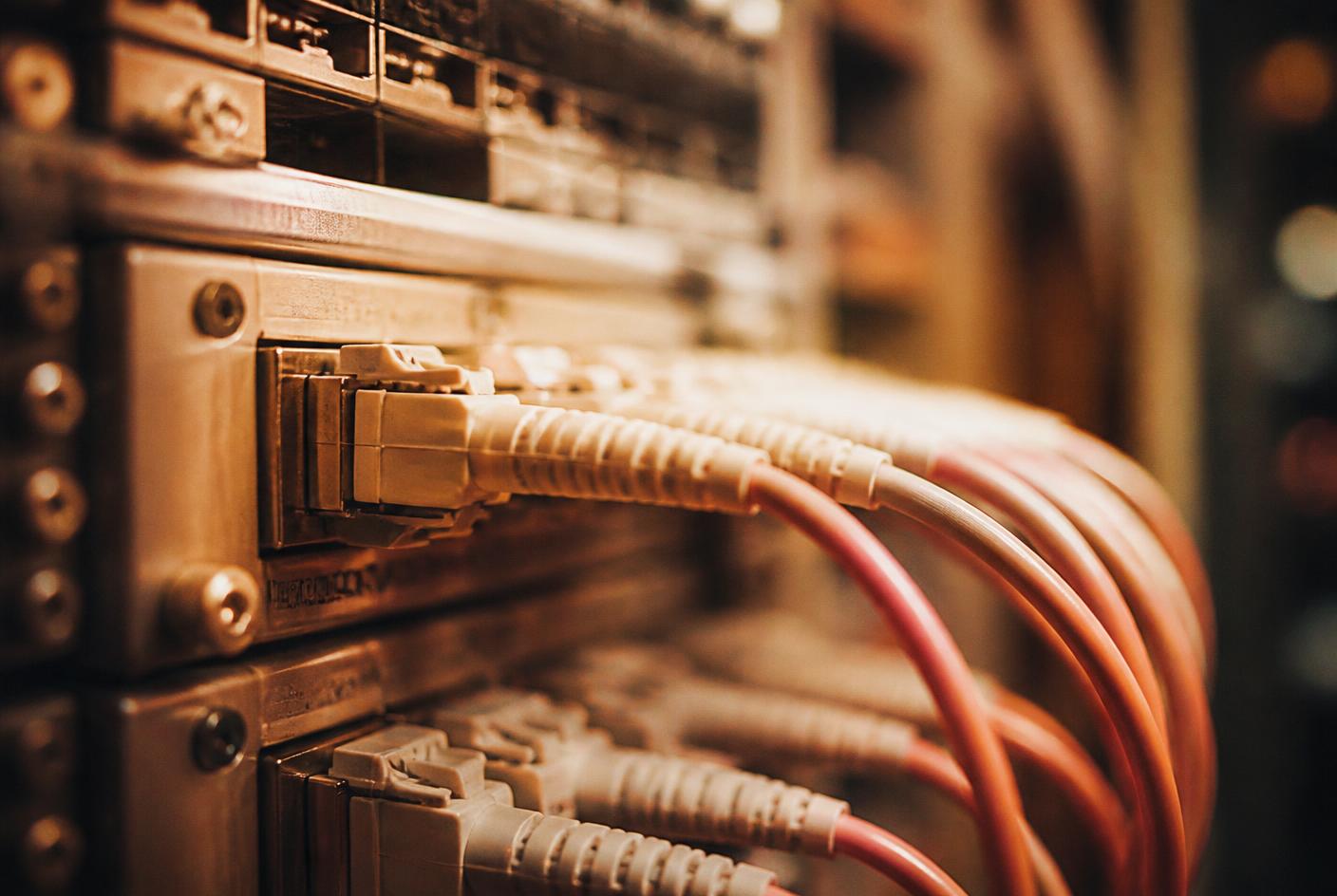 Fibre optic patch cables plugged into a server switch, photographed close up in amber light